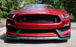 Mustang Shelby GT350R
