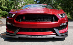 Scrape Armor Bumper Protection - 2015+ Ford Mustang GT350R