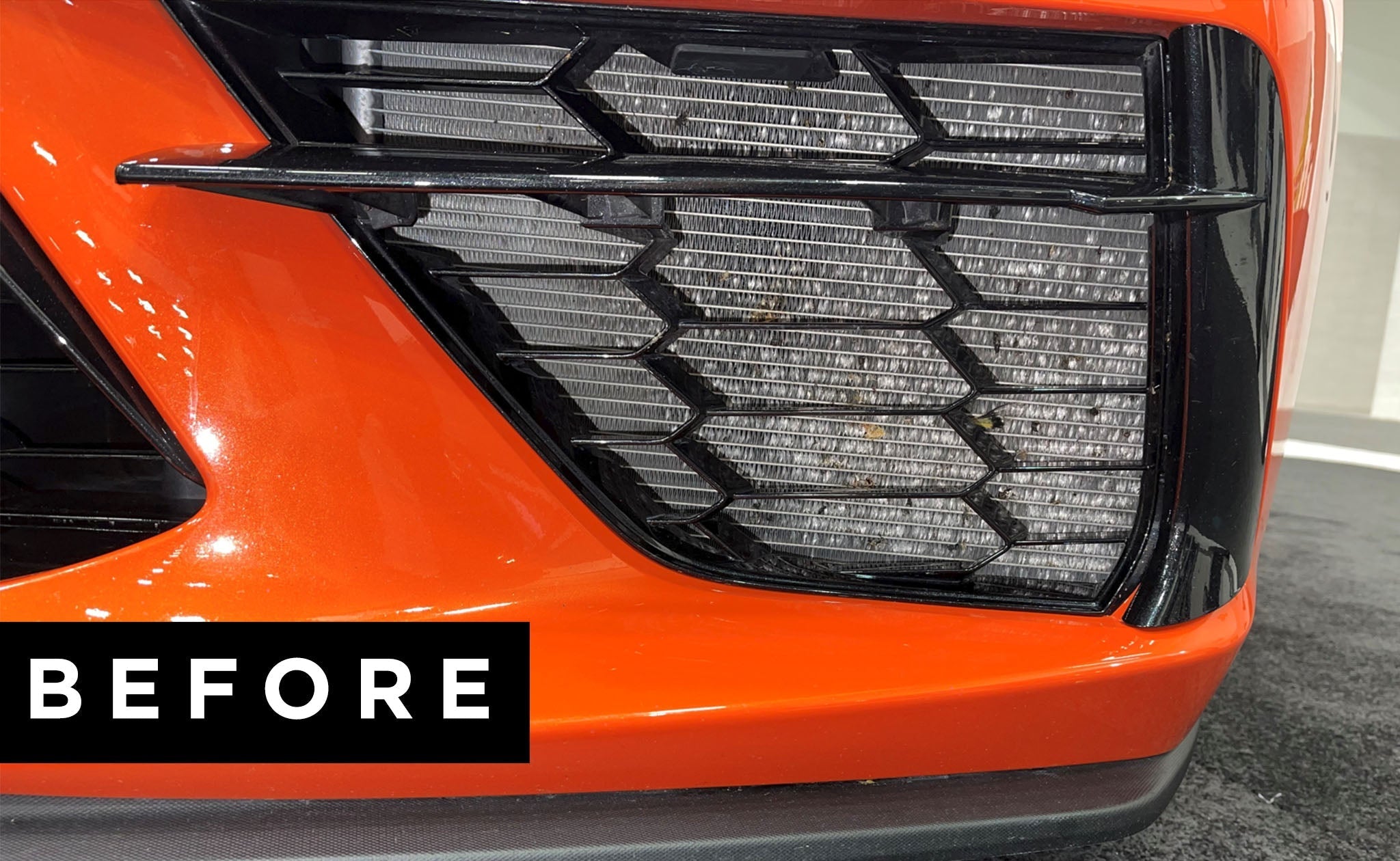 Stingray Front Radiator Guards